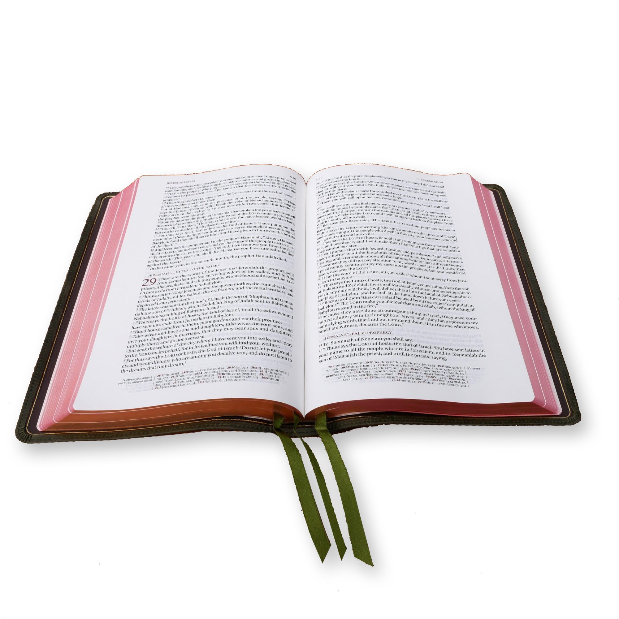 SCHUYLER STRIDON NKJV OLIVE GREEN CALFSKIN BIBLE | Calvary Church